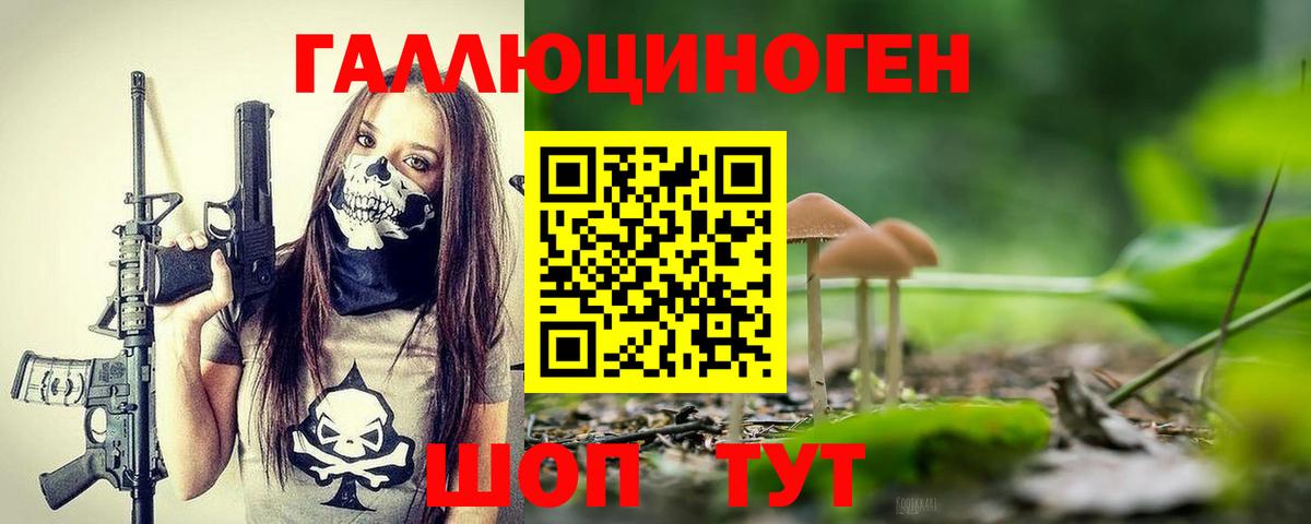Галлюциногенные грибы GOLDEN TEACHER  Вход с VPN  Сердобск 